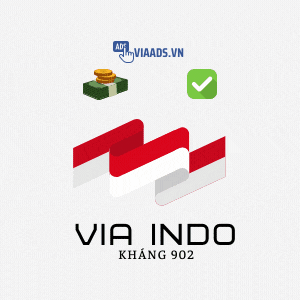 Via Indo Kháng 902 Đã Vượt 956 ( CP Email )