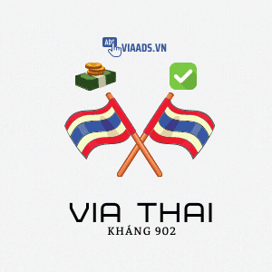 Via Thái Kháng 902 Đã Vượt 956 ( CP Email )