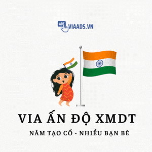 Via Ấn Độ XMDT Cổ - Nhiều Bạn Bè